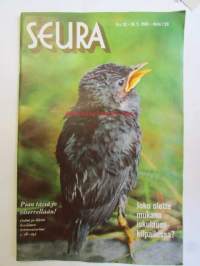 Seura 1966 nr 20, Kamerataiteilijan arkea, Valkohiekalle sinitaivaalle, Muu maa mustikka sanovat Nairobin suomalaiset hitsaajat, Sisuuntunut Michel Jazy