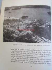 Pargas Kalkbergs 1898-1948 - En allmogenärings utveckling till storindustri