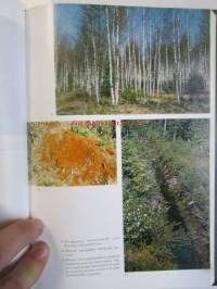 Eräkirjasto 2 -  Metsästys