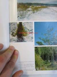 Eräkirjasto 2 -  Metsästys
