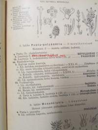 Koulu- ja retkeily kasvio