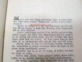 Minnen från Medewi - anteckningar, gjorda under några dagars wistelse derstädes sommaren 1875 af A.O.