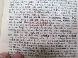 Minnen från Medewi - anteckningar, gjorda under några dagars wistelse derstädes sommaren 1875 af A.O.