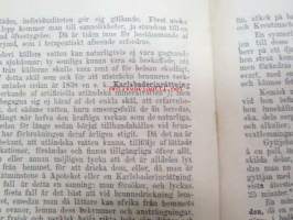 Minnen från Medewi - anteckningar, gjorda under några dagars wistelse derstädes sommaren 1875 af A.O.