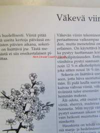 Kotiviiniopas