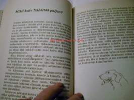 Miksi koira hautaa luun ja monta muuta kysymystä koiran elämästä10