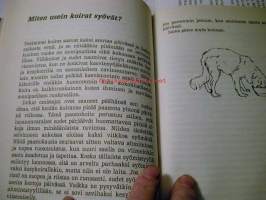 Miksi koira hautaa luun ja monta muuta kysymystä koiran elämästä10