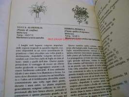 piante da &#039;appartamento