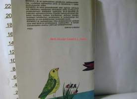 aidinkieli 4 b