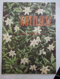 Kotiliesi 1958 nr 10, toukokuu . Runsas sisältö ajankuvaa: Kesähuone, armeijan kokit, tuntemattomien paraati (valokuvat) valokuvien näyttely Kansallismuseossa