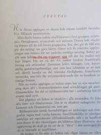 Smalfilmning för nybörjare och försigkomna