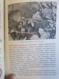 Vietit ja vaistot lintumaailmassa -108 kuvaa (mustavalkoisia)