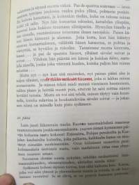 Päiväkirja vuosilta 1897-1906 Aino Kallas