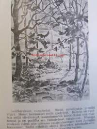 Kunstenniemi kutsuu