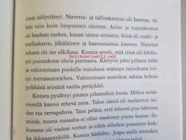 Konsta Pylkkänen etsii kortteeria