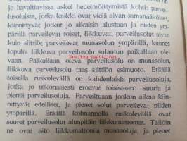 Miksi kuolemme