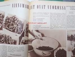 Kotiliesi 1961 nr 15 elokuu. Aiheina mm. Liejupohjan laiturin teko. Heteka. Meeri Rinne, Karjalohjan puhelinkeskuksen hoitaja,  vuonna -65. Pikkukuva ja lyhyt