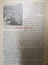 Kodin puutarha