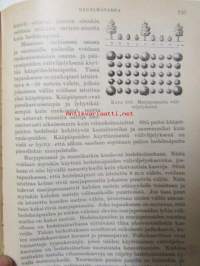 Kodin puutarha