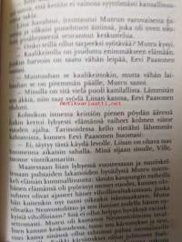 Tehtävä Sorokassa