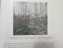 Suomen Uittajainyhdistyksen Vuosikirja III 1939