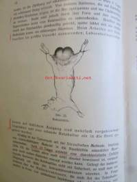 Klinische Bakteriologie und Protozoenkunde