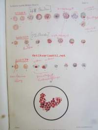 Klinische Bakteriologie und Protozoenkunde