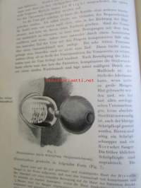 Klinische Bakteriologie und Protozoenkunde