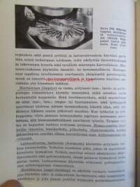 Mekaaninen teknologia