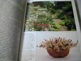 dried flowers