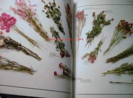 dried flowers