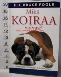 mikä koiraa vaivaa?