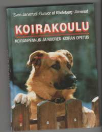 Koirakoulu - Koiranpennun ja nuoren koiran opetus