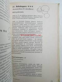 Sienestäjän kirja