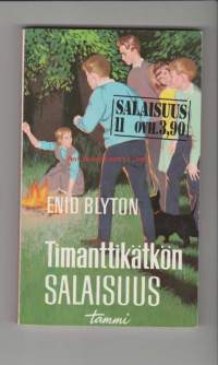 Timanttikätkön salaisuus. Salaisuus 11