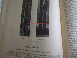 Suomen Maanviljelys 1915 nr 3, Gyllenkrokin astrakaani, eräitä kokemuksia salaojituksesta, omituisia puunmuodostumia