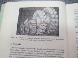Metallialan aineoppi