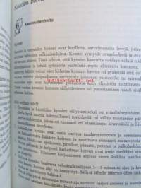 Kauneutta joogasta. Kahden viikon kauneus- ja kunto-ohjelma
