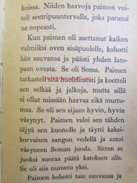 Hyvä paimen