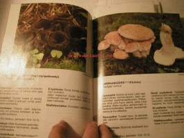 kauppasieniopas