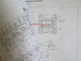 Hyundai Terracan, 2002 Shop Manual