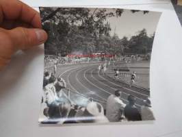 Juoksukilpailut 2.9.1956 -valokuva