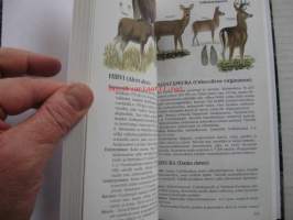 Jahdissa ulkomailla - Sanastot ja muuta käytännön tietoa