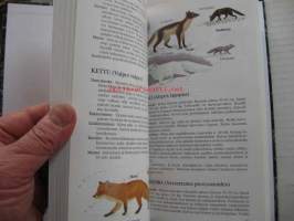 Jahdissa ulkomailla - Sanastot ja muuta käytännön tietoa