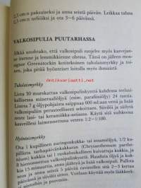 valkosipuli ikivanha luonnonlääke