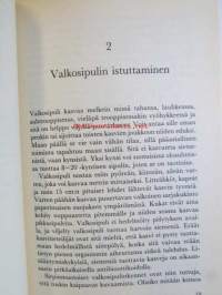 valkosipuli ikivanha luonnonlääke
